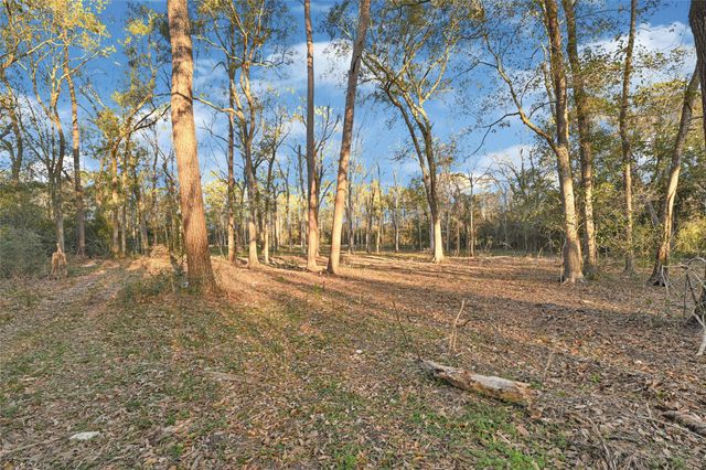 0 Fm-1008, Dayton, TX 77535