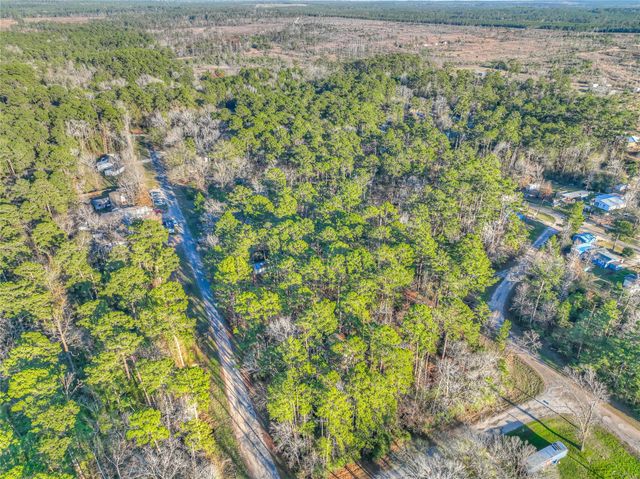 TBD Bluebird Lane, Livingston, TX 77351