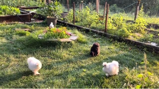 18224 Flanders Street NE, Wyoming, MN 55092