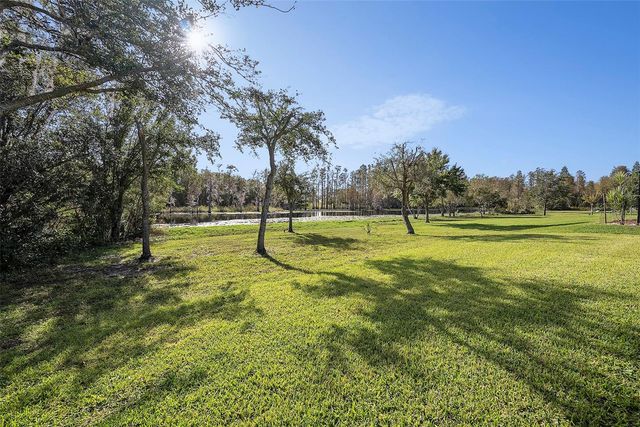 19772 PRESERVATION WOODS DRIVE, Lutz, FL 33548