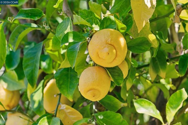 125 Luella Drive, Pleasant Hill, CA 94523