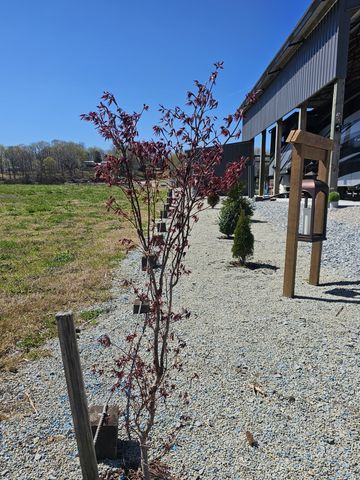 1803 Hardin Bottom River Rd, Clifton, TN 38425