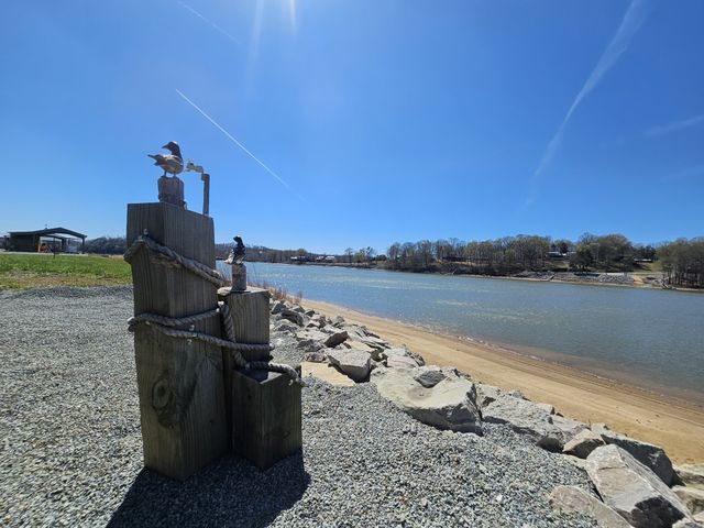 1803 Hardin Bottom River Rd, Clifton, TN 38425