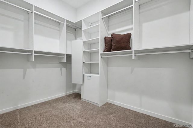 968 Tree Bark Terrace, Colorado Springs, CO 80921