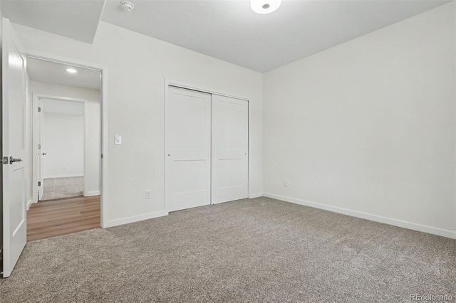 968 Tree Bark Terrace, Colorado Springs, CO 80921