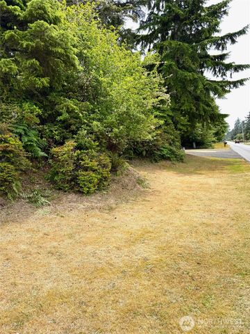 430 Dolphin Avenue NE, Ocean Shores, WA 98569