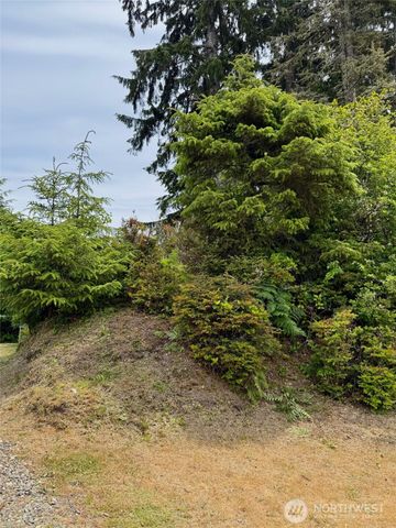 430 Dolphin Avenue NE, Ocean Shores, WA 98569