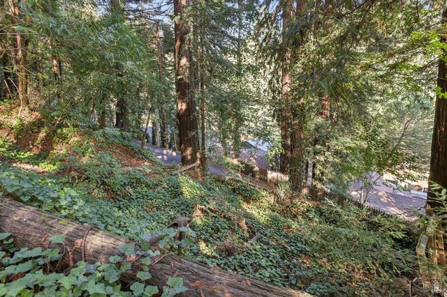 14619 Eagle Nest Ln, Guerneville, CA 95446