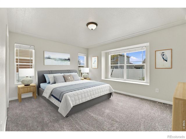 6974 Mcclellan Road, Wellington, CO 80549