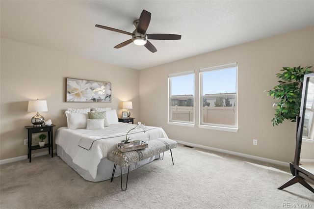 8042 Potentilla Grove, Colorado Springs, CO 80908