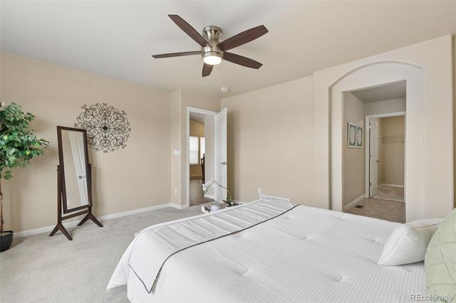 8042 Potentilla Grove, Colorado Springs, CO 80908