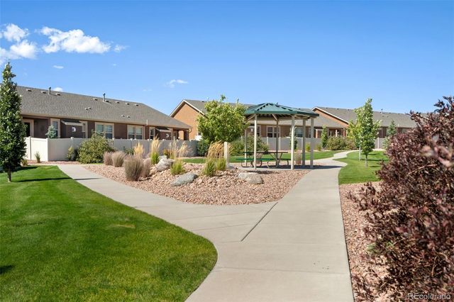 8042 Potentilla Grove, Colorado Springs, CO 80908