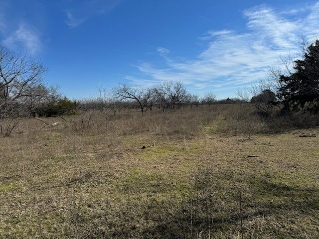 TBD Tract 3-1 FM 642, Dawson, TX 76639