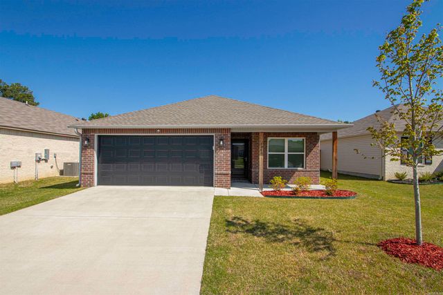 1282 Agogo Lane, Conway, AR 72034