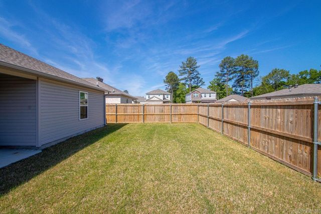 1282 Agogo Lane, Conway, AR 72034