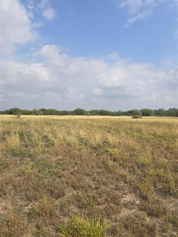 0000 Davis Road, Edinburg, TX 78541