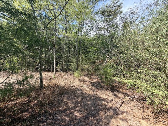 TBD CR 3824, Wills Point, TX 75160