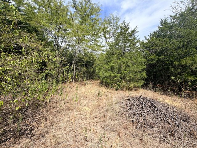 TBD CR 3824, Wills Point, TX 75160