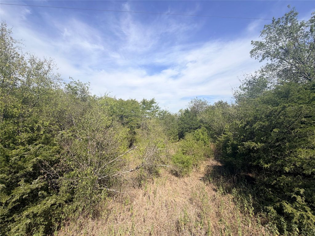 TBD CR 3824, Wills Point, TX 75160