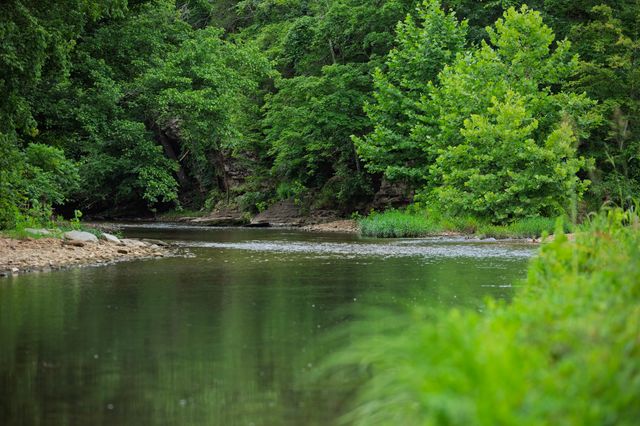 1125 Dawson Rd, White Bluff, TN 37187