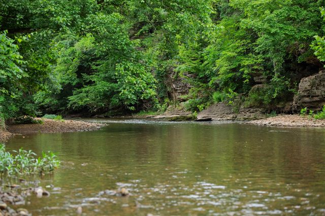 1125 Dawson Rd, White Bluff, TN 37187
