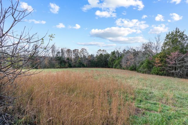 1125 Dawson Rd, White Bluff, TN 37187