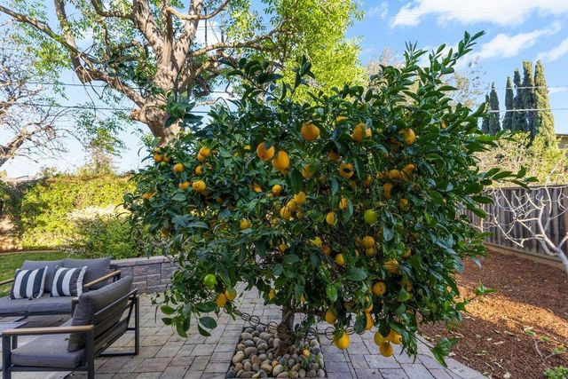 1484 Kingfisher Way, Sunnyvale, CA 94087