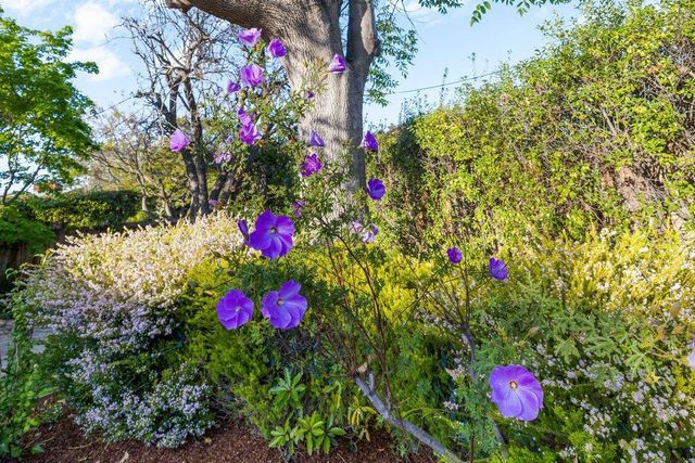 1484 Kingfisher Way, Sunnyvale, CA 94087