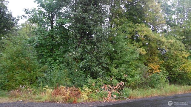 0 Viewridge Road, Onalaska, WA 98570