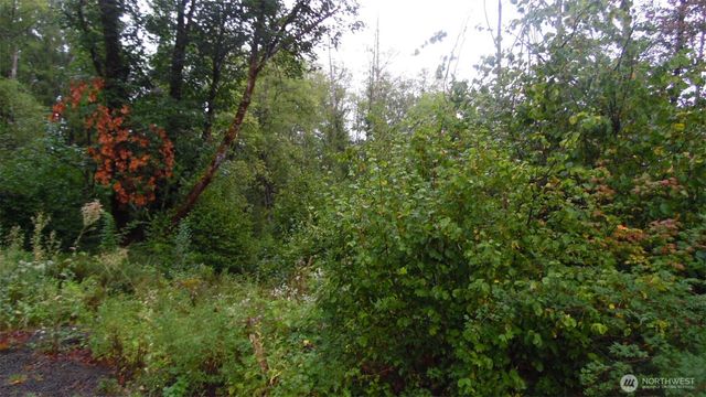 0 Viewridge Road, Onalaska, WA 98570