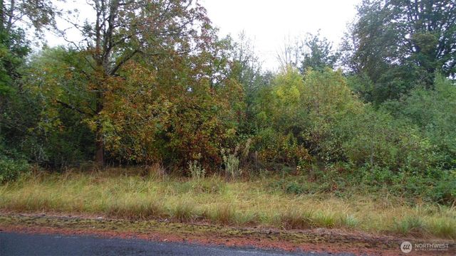 0 Viewridge Road, Onalaska, WA 98570