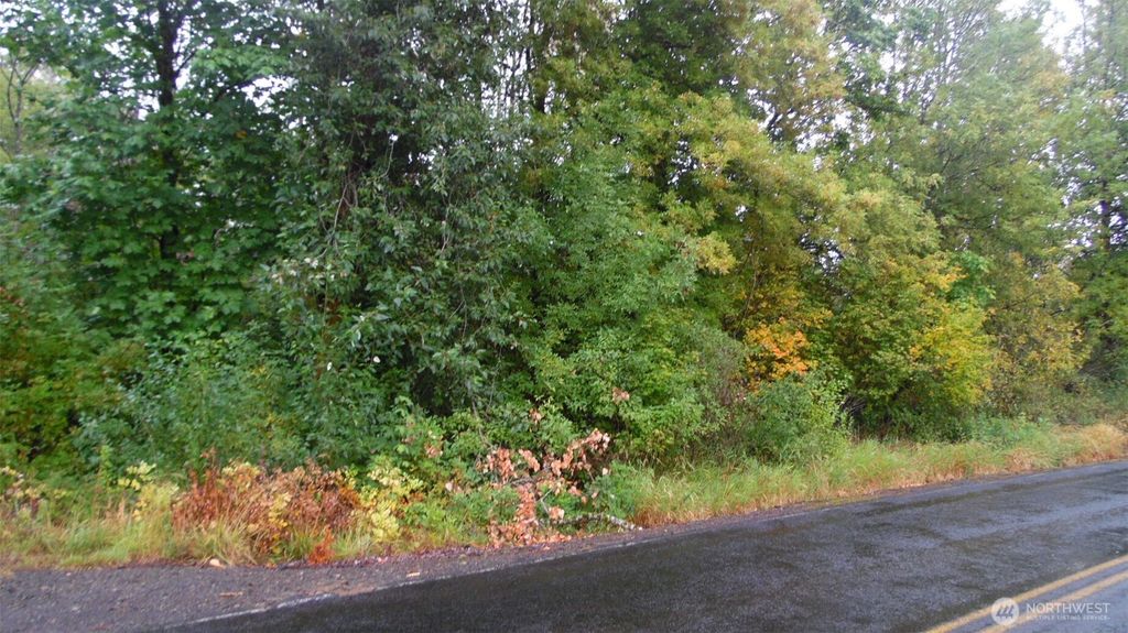 0 Viewridge Road, Onalaska, WA 98570