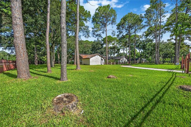 10110 Rolke Road, Houston, TX 77099
