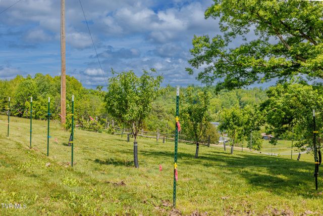 140 Bl Moore Lane, Jonesborough, TN 37659