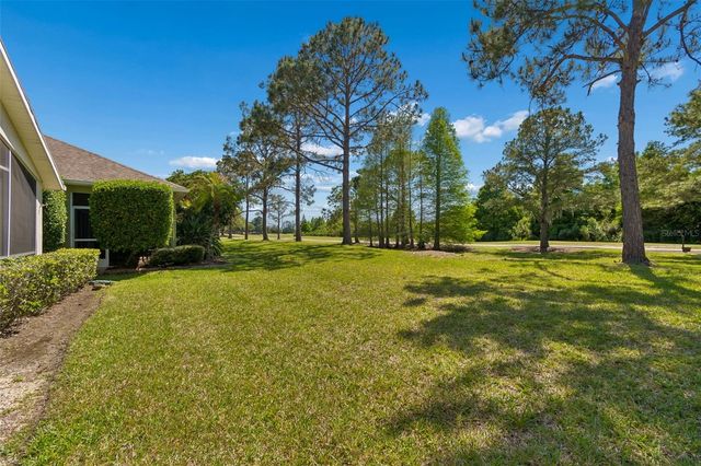 3231 BANYAN HILL LANE, Land O Lakes, FL 34639