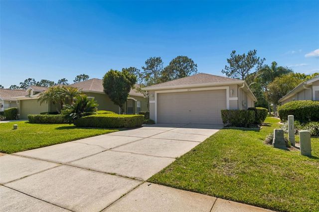 3231 BANYAN HILL LANE, Land O Lakes, FL 34639