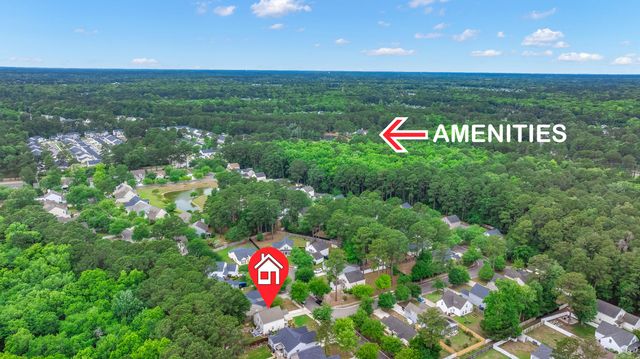 4817 Morning Dew Court, Summerville, SC 29485