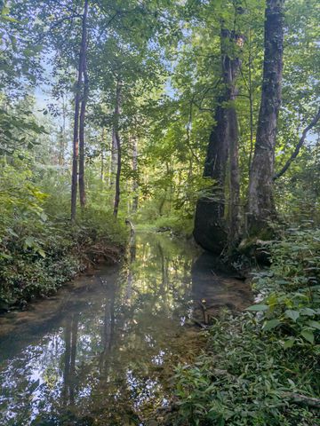 5000 Highway 100, Lyles, TN 37098