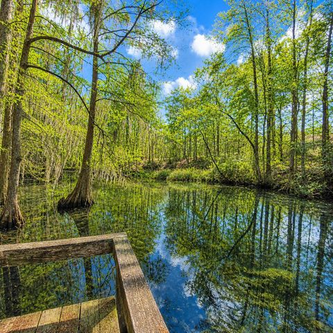 384 Suwanee Drive, Vance, SC 29163