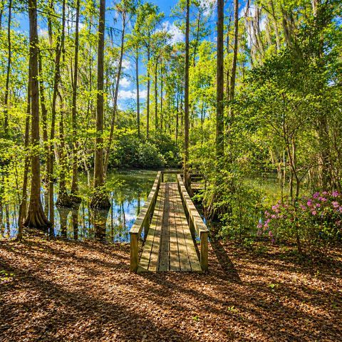 384 Suwanee Drive, Vance, SC 29163