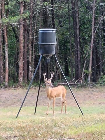 1275 Sunset Inn Road, Branson, MO 65616