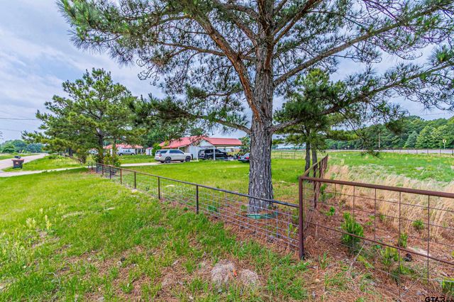 138 VZ County Road 4714, Ben Wheeler, TX 75754