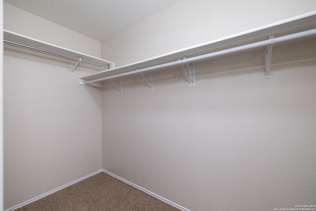 2439 Paddle Creek, San Antonio, TX 78245