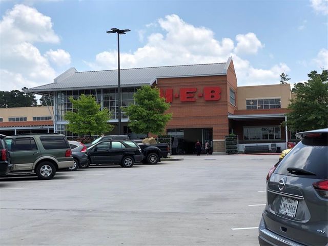 101 N Villa Oaks Drive, The Woodlands, TX 77382