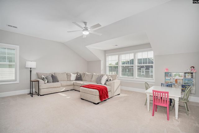 155 Almofini Lane, Chapin, SC 29036