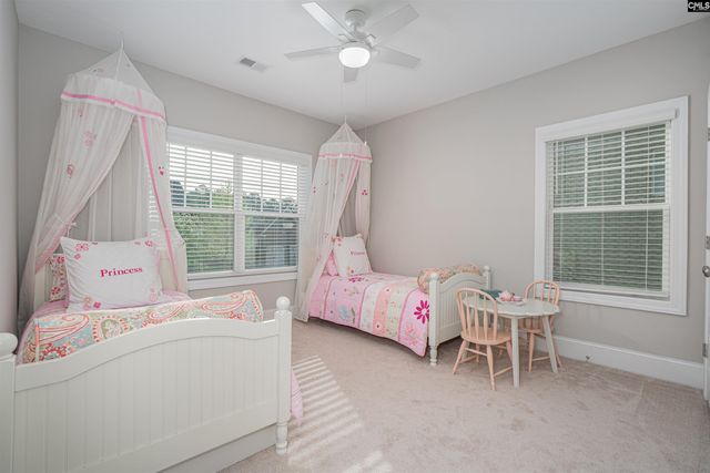 155 Almofini Lane, Chapin, SC 29036