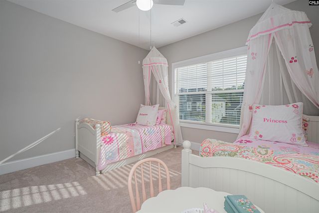 155 Almofini Lane, Chapin, SC 29036