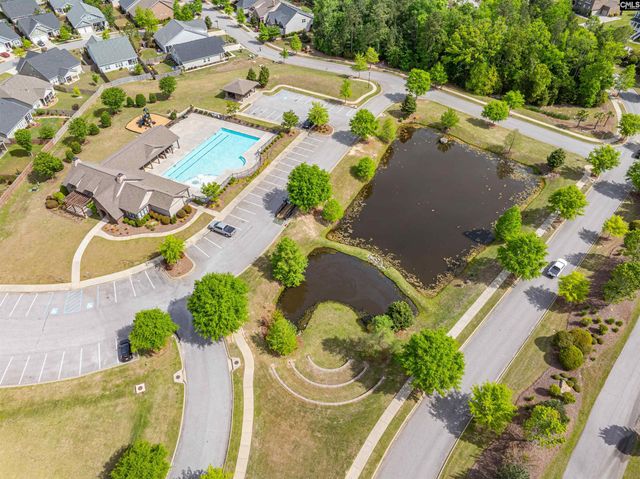 155 Almofini Lane, Chapin, SC 29036