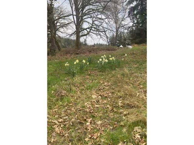 Ferguson, Oregon City, OR 97045