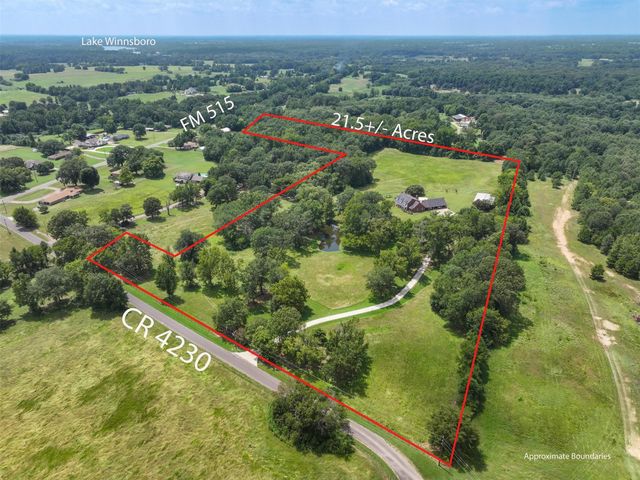 147 County Road 4230, Winnsboro, TX 75494